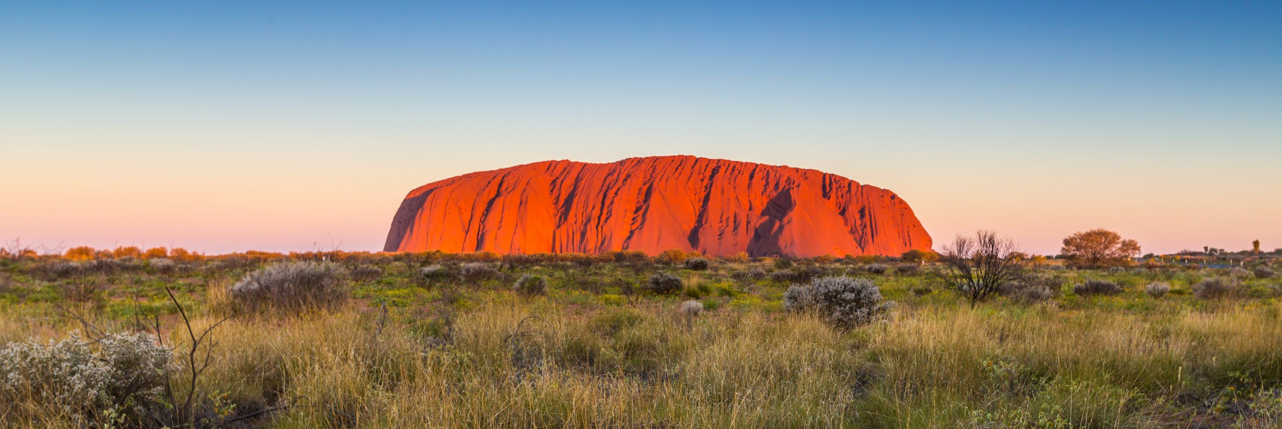 Photo is of Uluru in the bright daylight. The bushland around Uluru is green and brown.